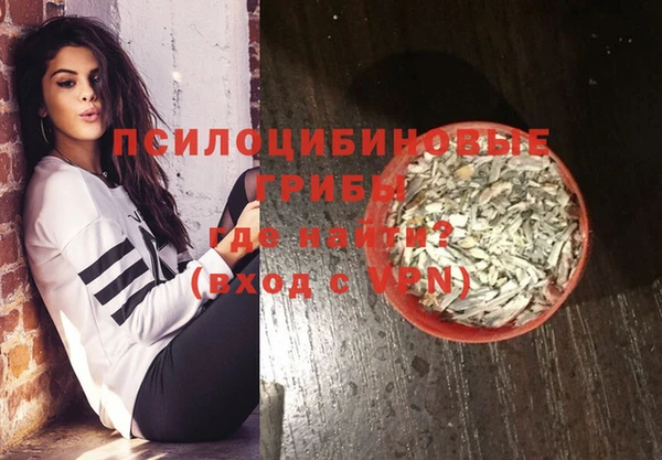 прущие крисы Козловка