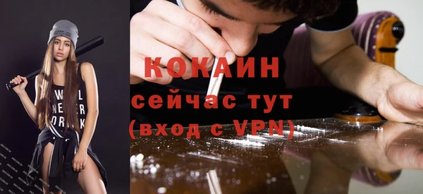 прущие крисы Козловка