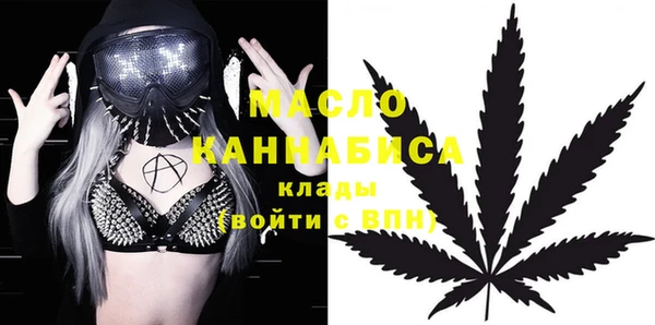 молекула духа Козельск