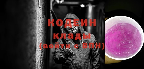 молекула духа Козельск