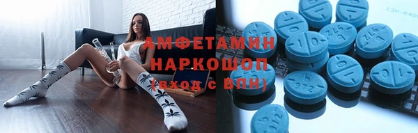 молекула духа Козельск
