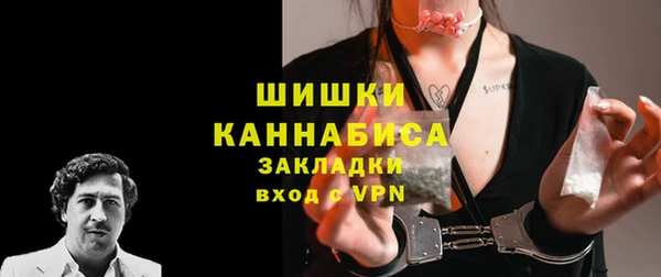 молекула духа Козельск