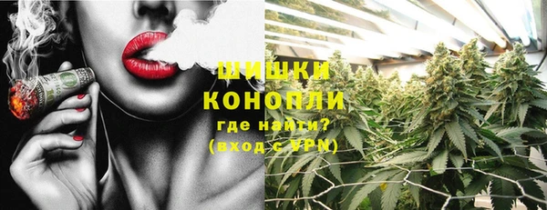 молекула духа Козельск