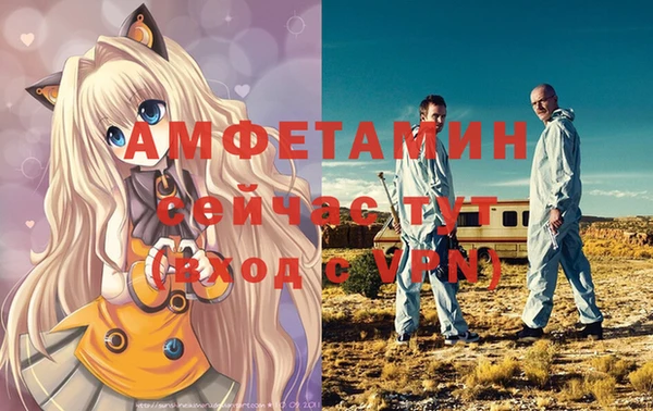 молекула духа Козельск