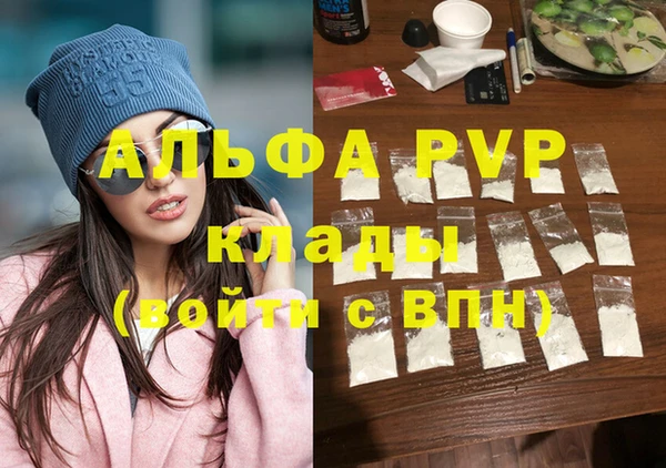 молекула духа Козельск