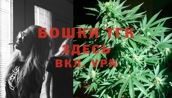 молекула духа Козельск