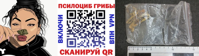магазин    Новотроицк  Галлюциногенные грибы MAGIC MUSHROOMS 